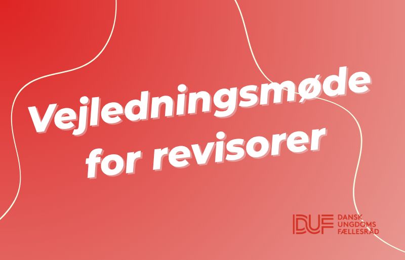 Vejledningsmøde for revisorer