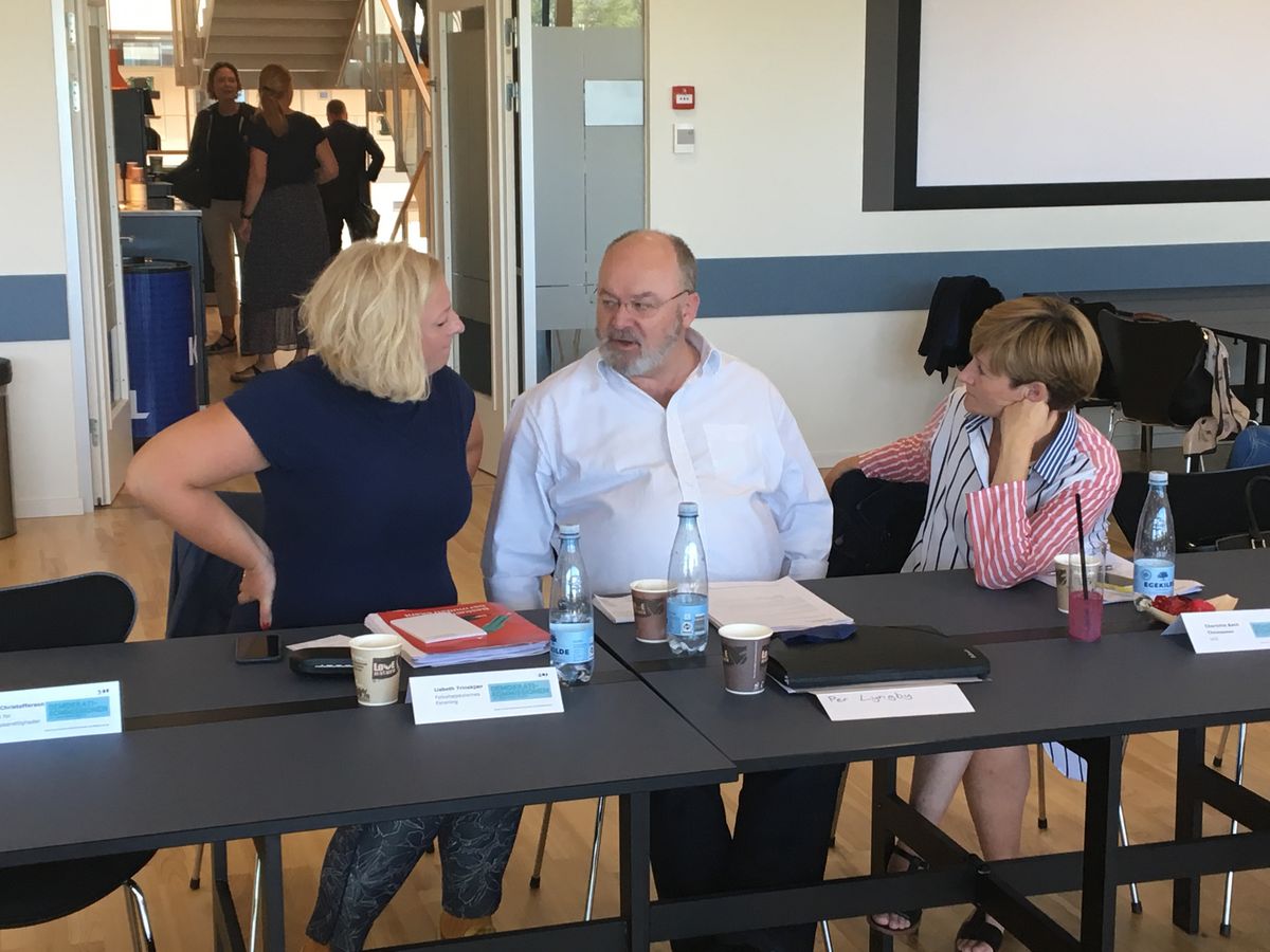 Er lovgivningsprocessen demokratisk forsvarlig? Femte møde i Demokratikommissionen afholdt