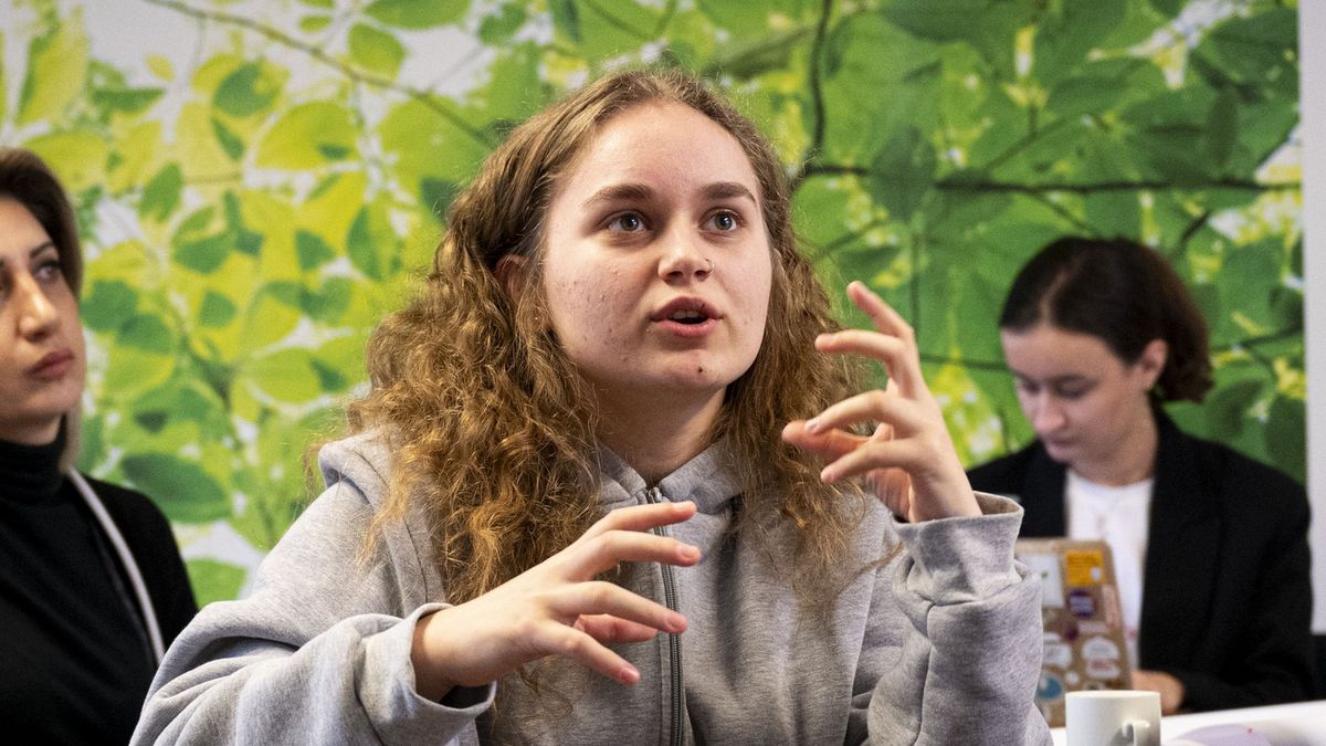 Internationalt seminar: Evolve a Project from Potential to Partnership