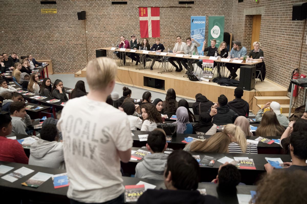 Hvorfor en Demokratikommission?