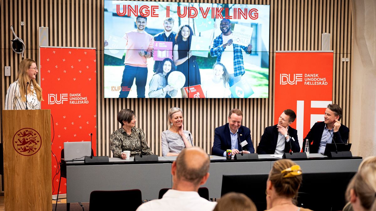 Unge frivillige i dialog med folketingsmedlemmer om internationalt samarbejde