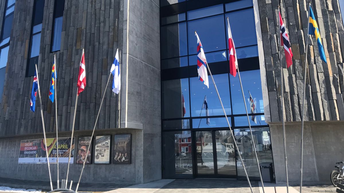 Unges anbefalinger til at styrke det nordiske fællesskab