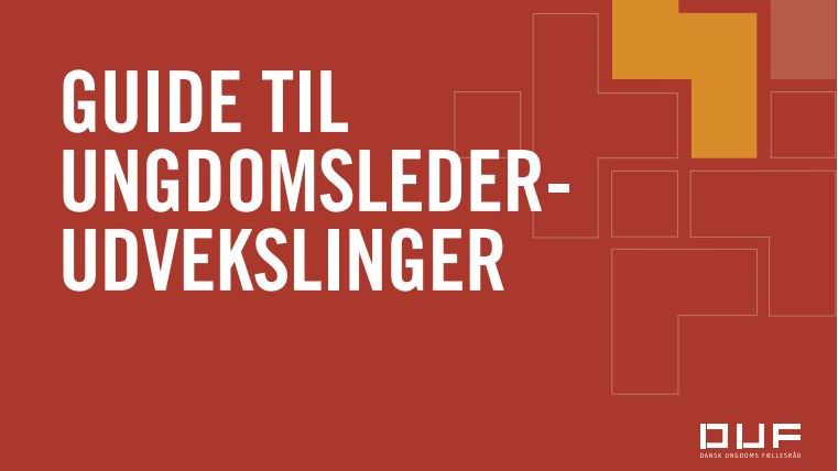 Guide til ungdomslederudveksling