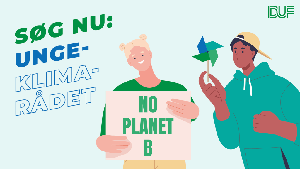 Grafik om ungeklimarådet